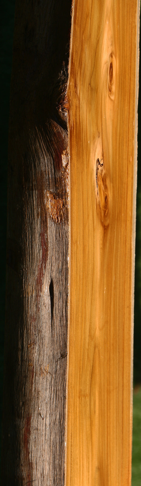 Teak Live Edge Slab (Free Shipping Excluded)