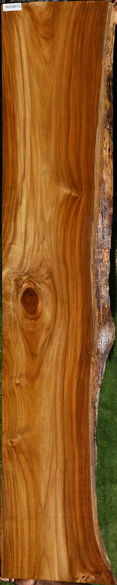 Teak Live Edge Slab (Free Shipping Excluded)