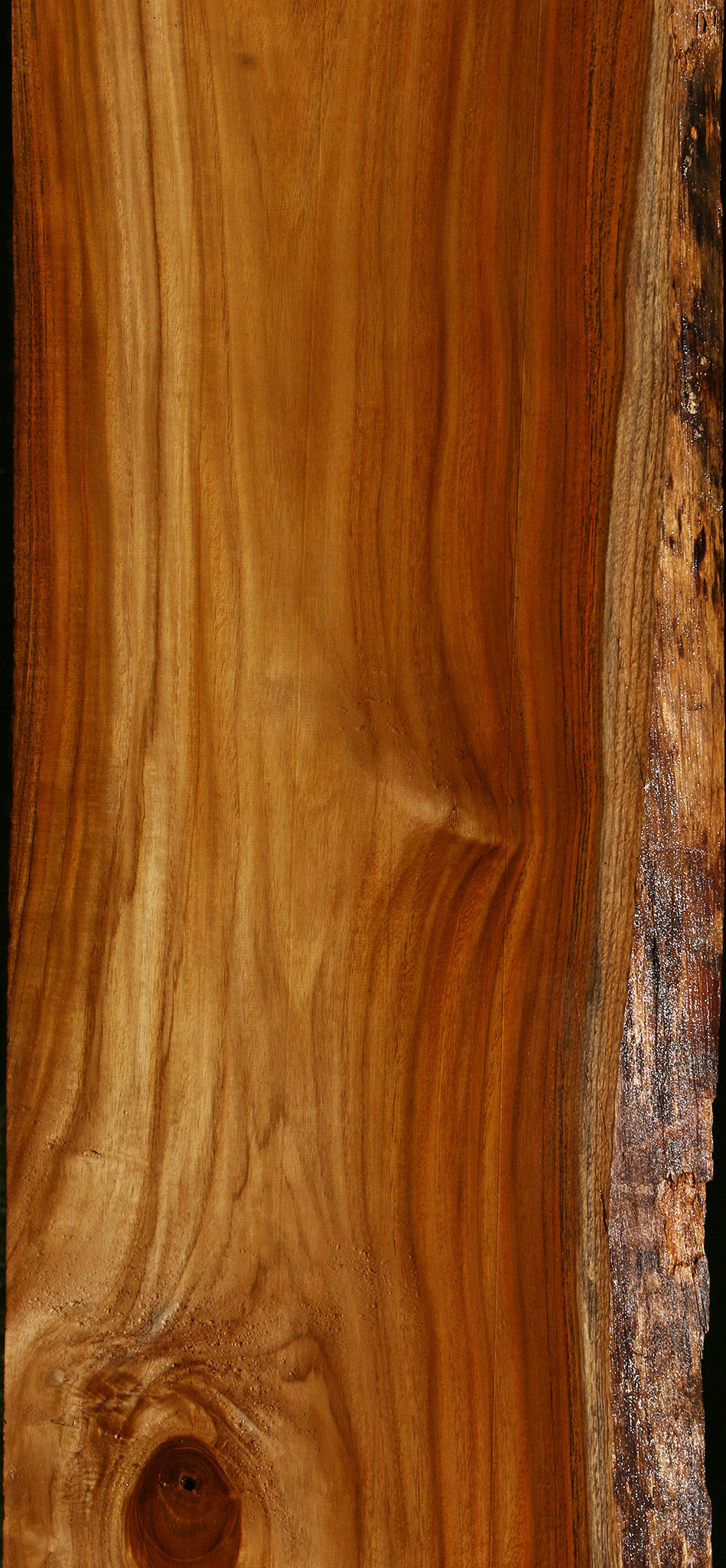 Teak Live Edge Slab (Free Shipping Excluded)