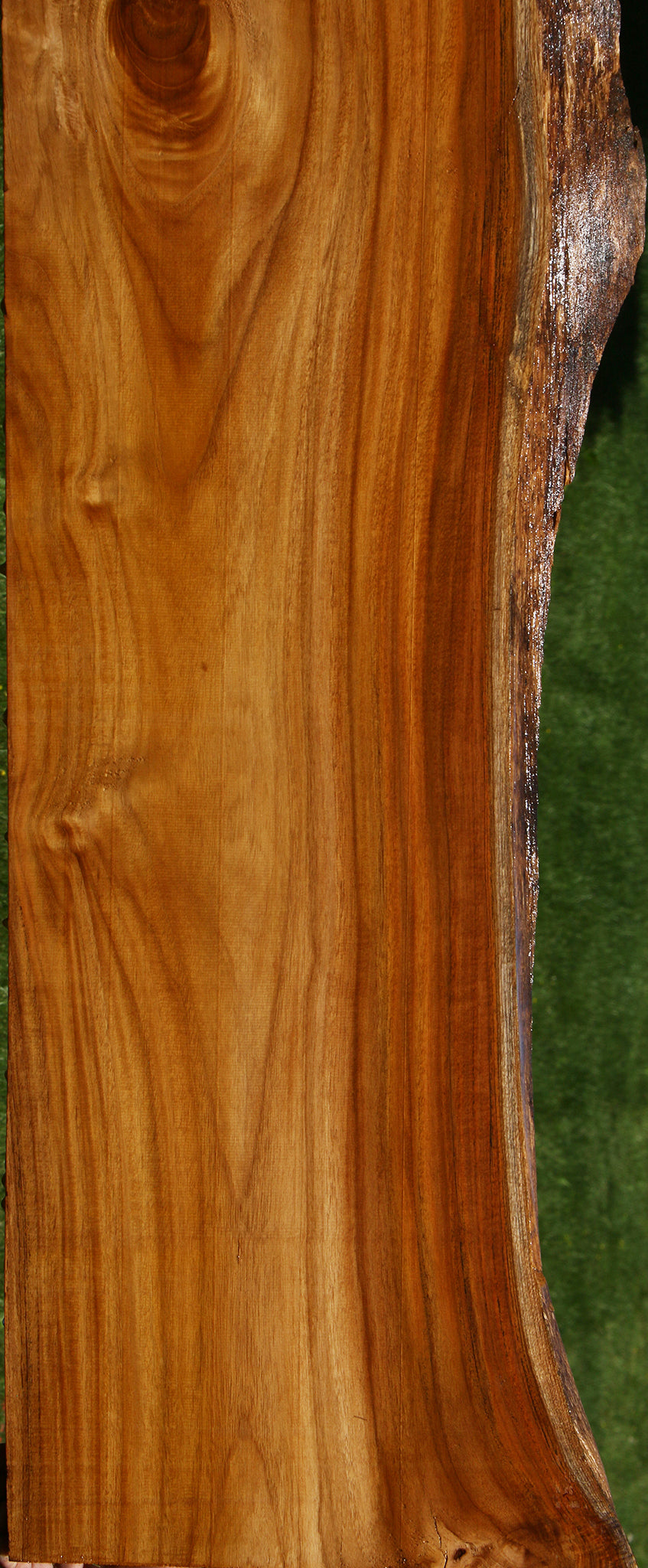 Teak Live Edge Slab (Free Shipping Excluded)