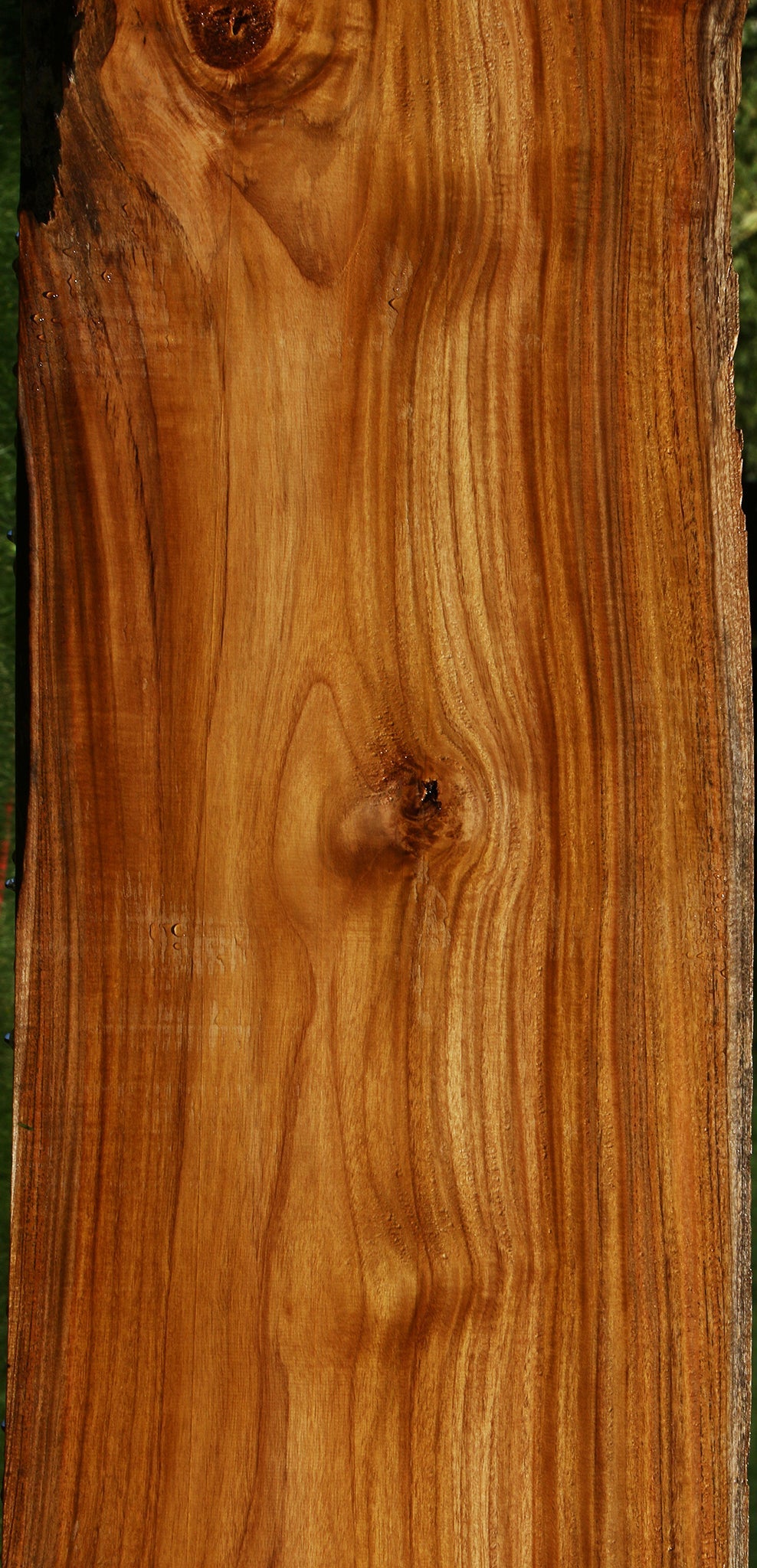 Teak Live Edge Slab (Free Shipping Excluded)