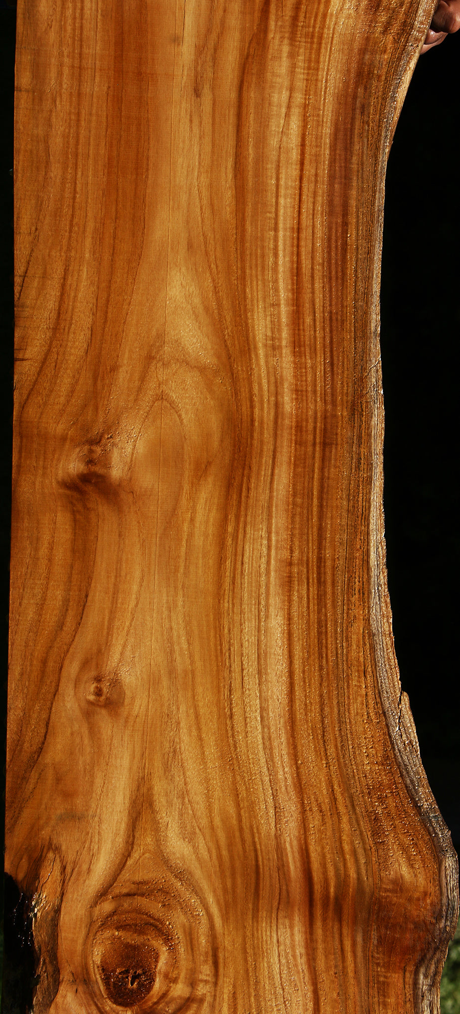 Teak Live Edge Slab (Free Shipping Excluded)