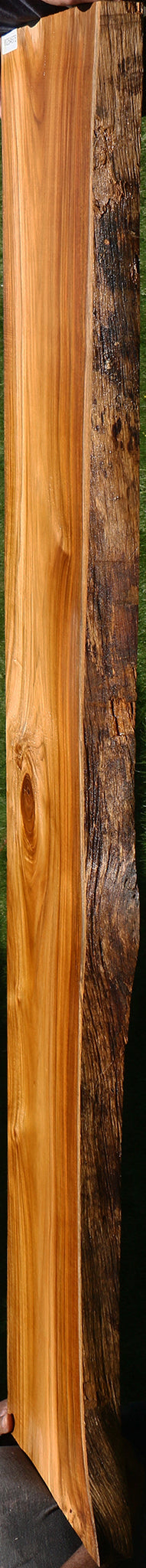 Teak Live Edge Slab (Free Shipping Excluded)