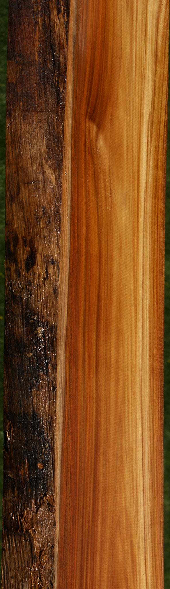 Teak Live Edge Slab (Free Shipping Excluded)