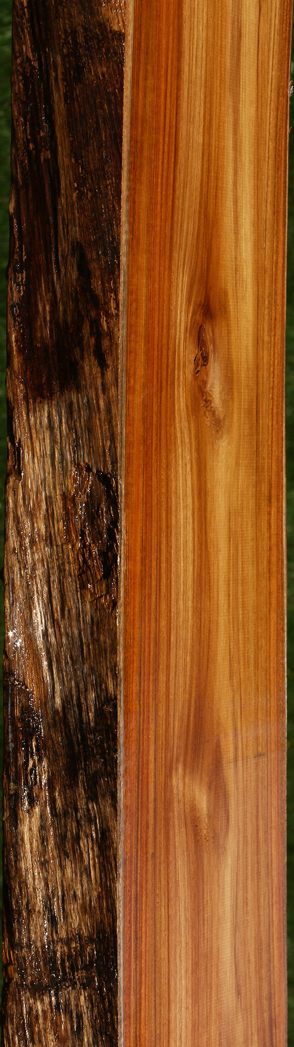 Teak Live Edge Slab (Free Shipping Excluded)