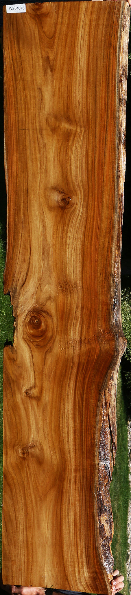 Teak Live Edge Slab (Free Shipping Excluded)