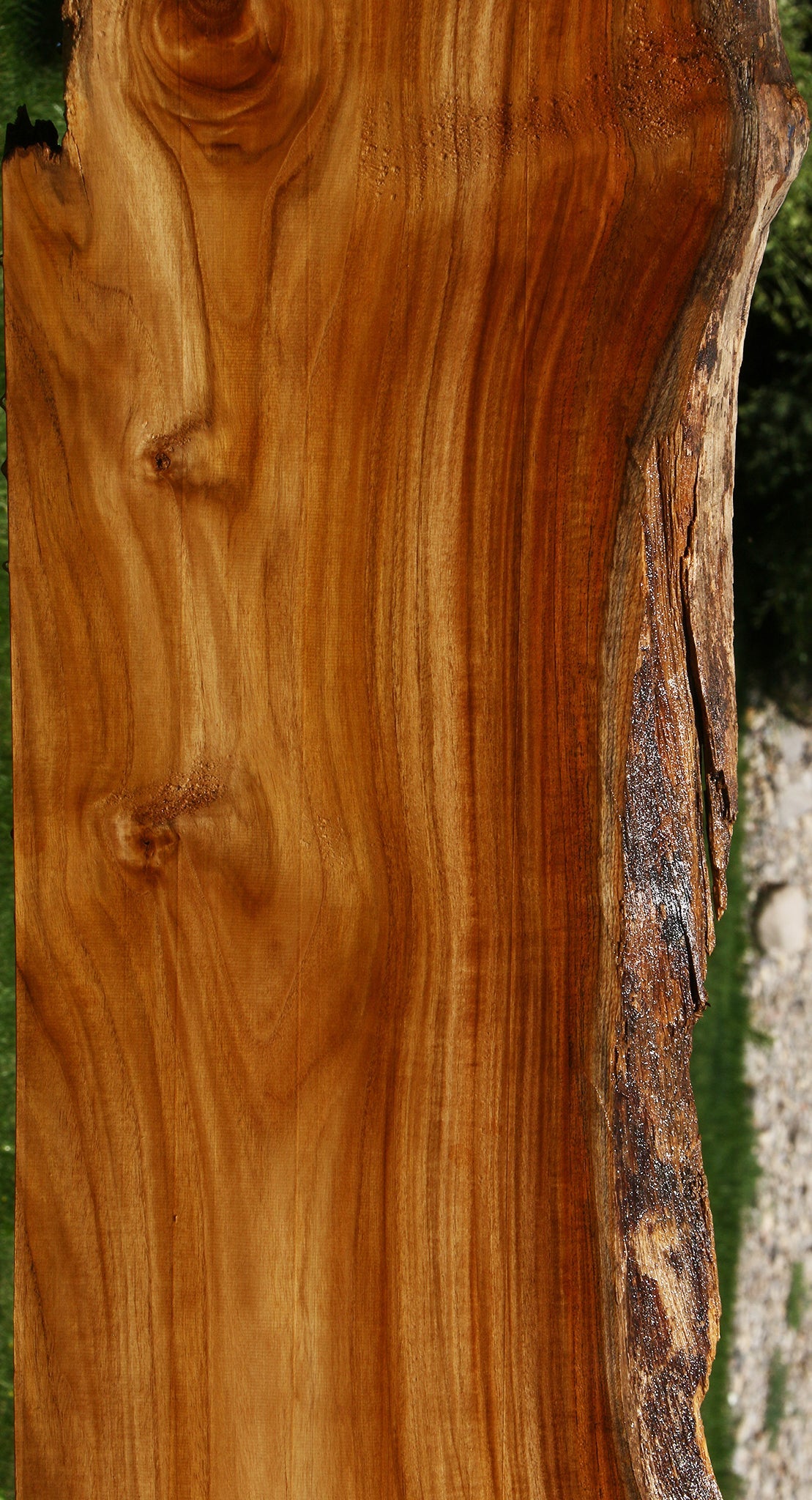Teak Live Edge Slab (Free Shipping Excluded)