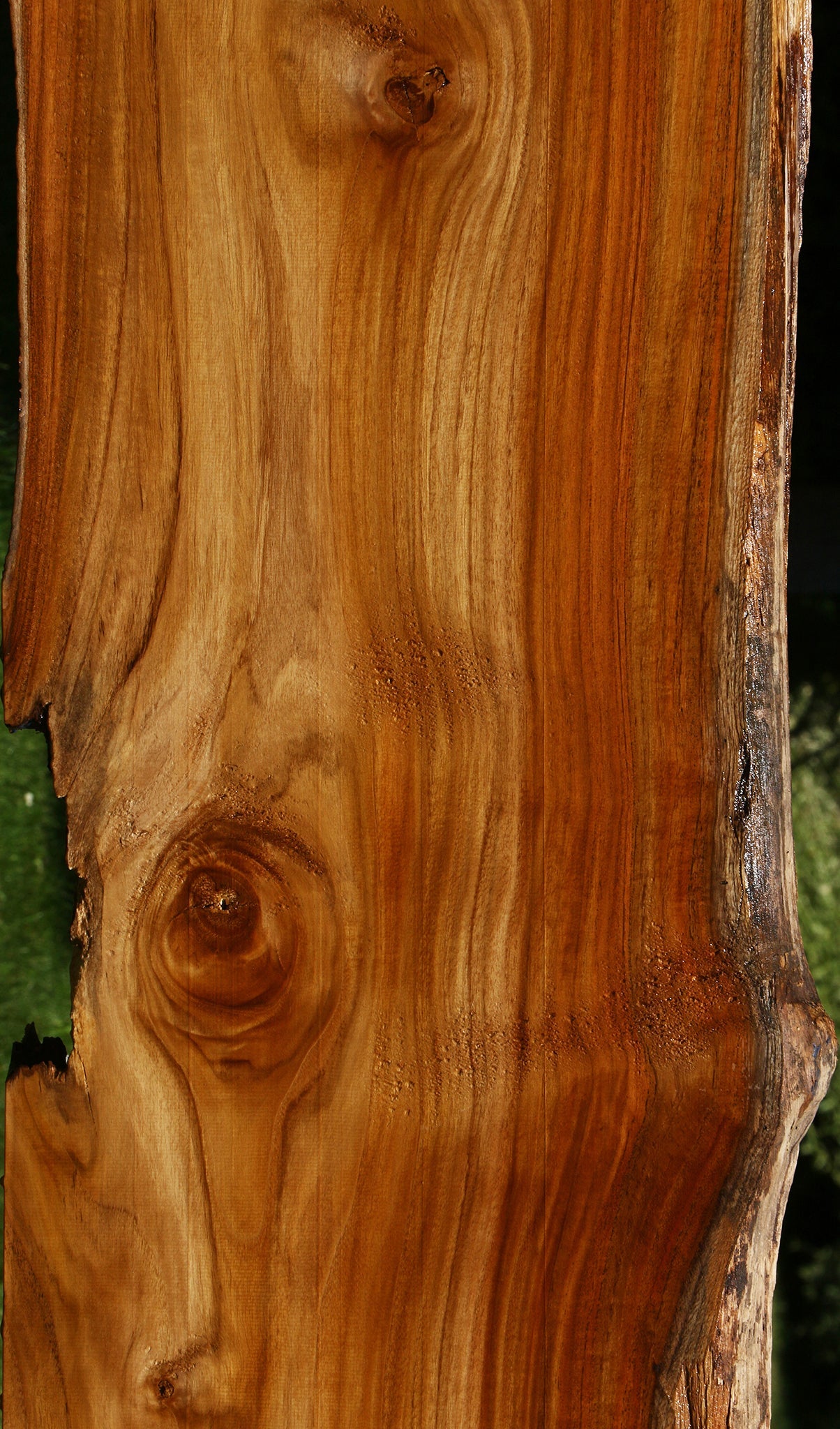 Teak Live Edge Slab (Free Shipping Excluded)