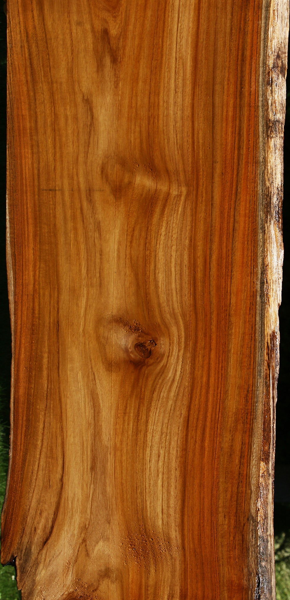 Teak Live Edge Slab (Free Shipping Excluded)