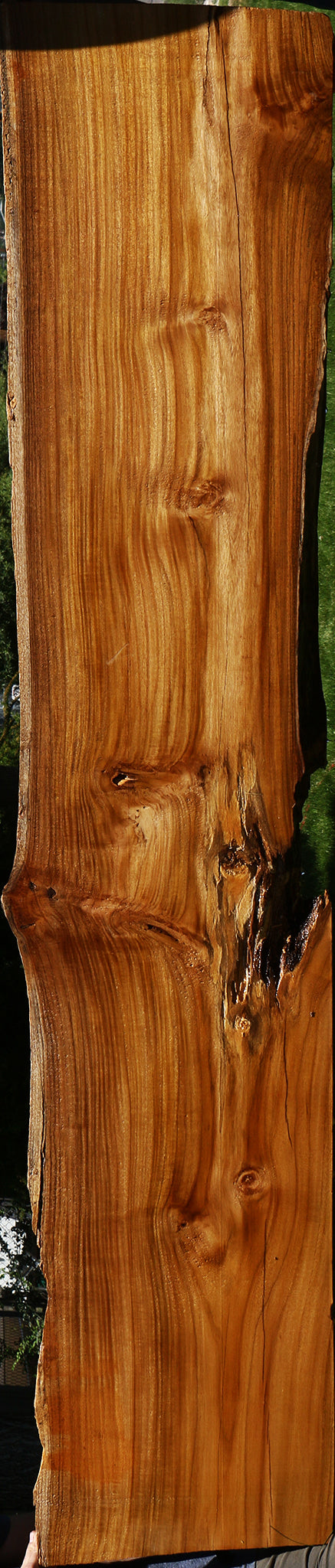 Teak Live Edge Slab (Free Shipping Excluded)