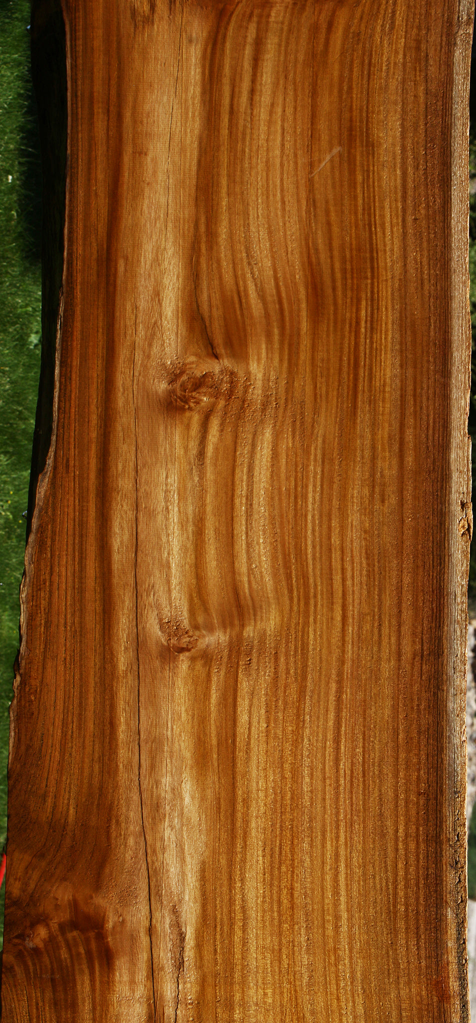 Teak Live Edge Slab (Free Shipping Excluded)