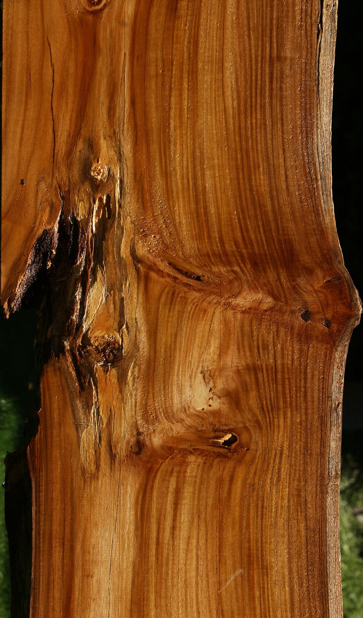 Teak Live Edge Slab (Free Shipping Excluded)