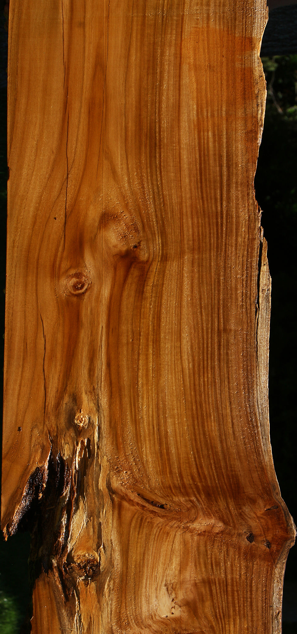 Teak Live Edge Slab (Free Shipping Excluded)