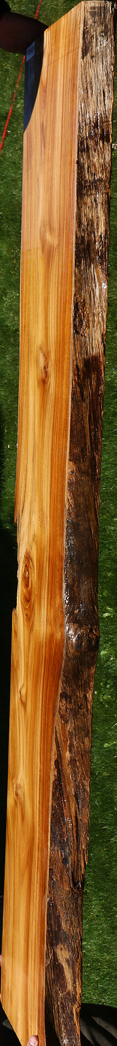 Teak Live Edge Slab (Free Shipping Excluded)