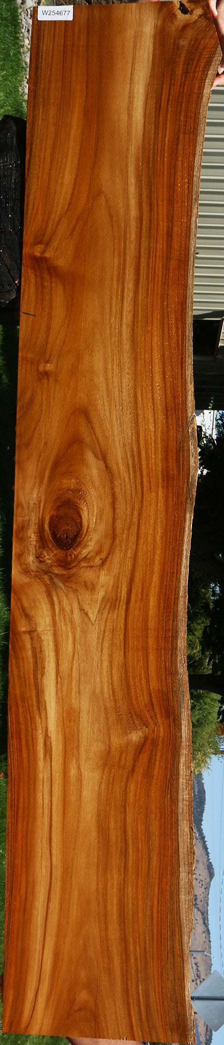 Teak Live Edge Slab (Free Shipping Excluded)