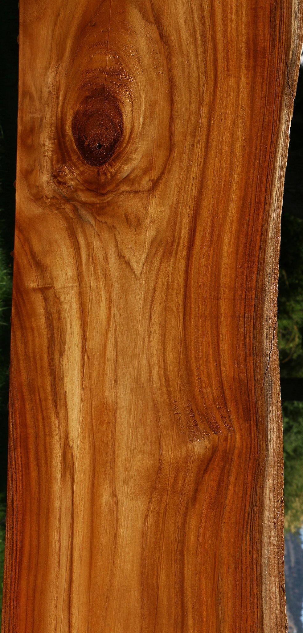 Teak Live Edge Slab (Free Shipping Excluded)