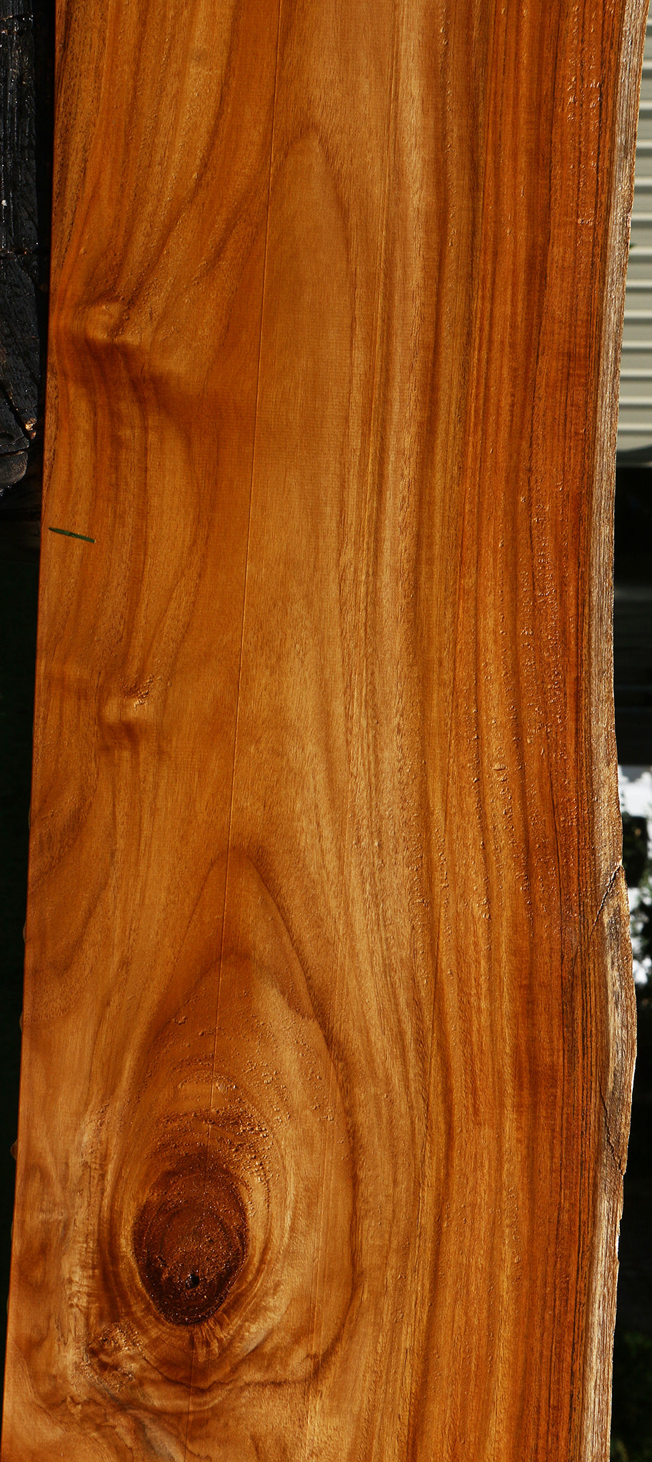 Teak Live Edge Slab (Free Shipping Excluded)