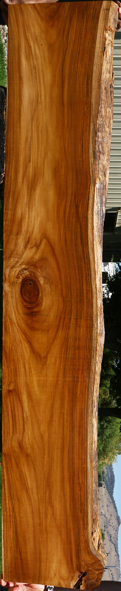 Teak Live Edge Slab (Free Shipping Excluded)