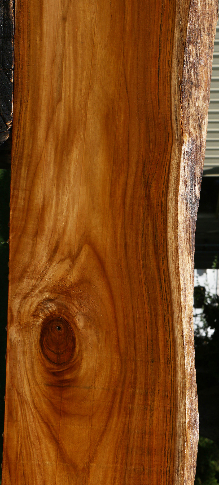 Teak Live Edge Slab (Free Shipping Excluded)