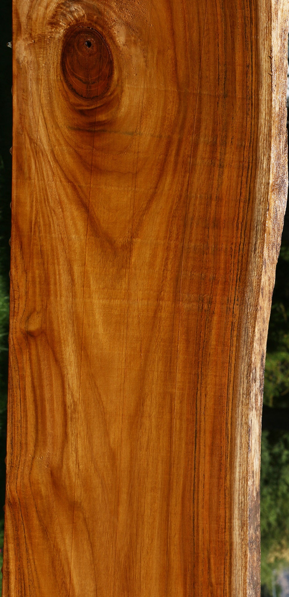 Teak Live Edge Slab (Free Shipping Excluded)