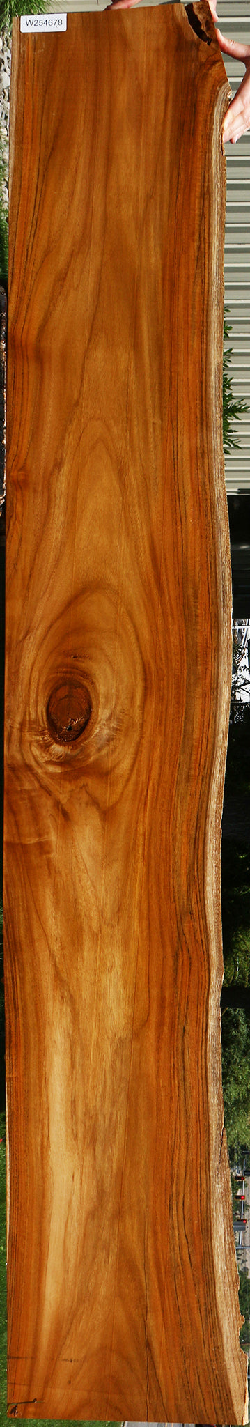 Rustic Teak Live Edge Lumber
