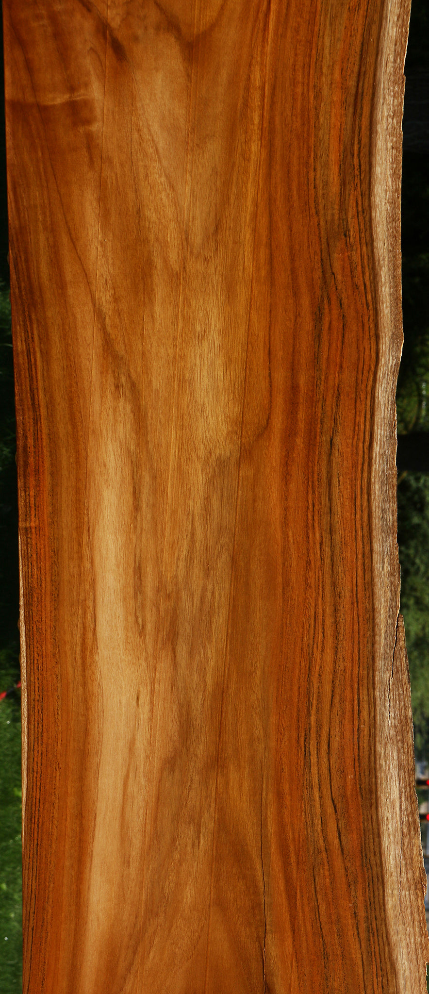 Rustic Teak Live Edge Lumber