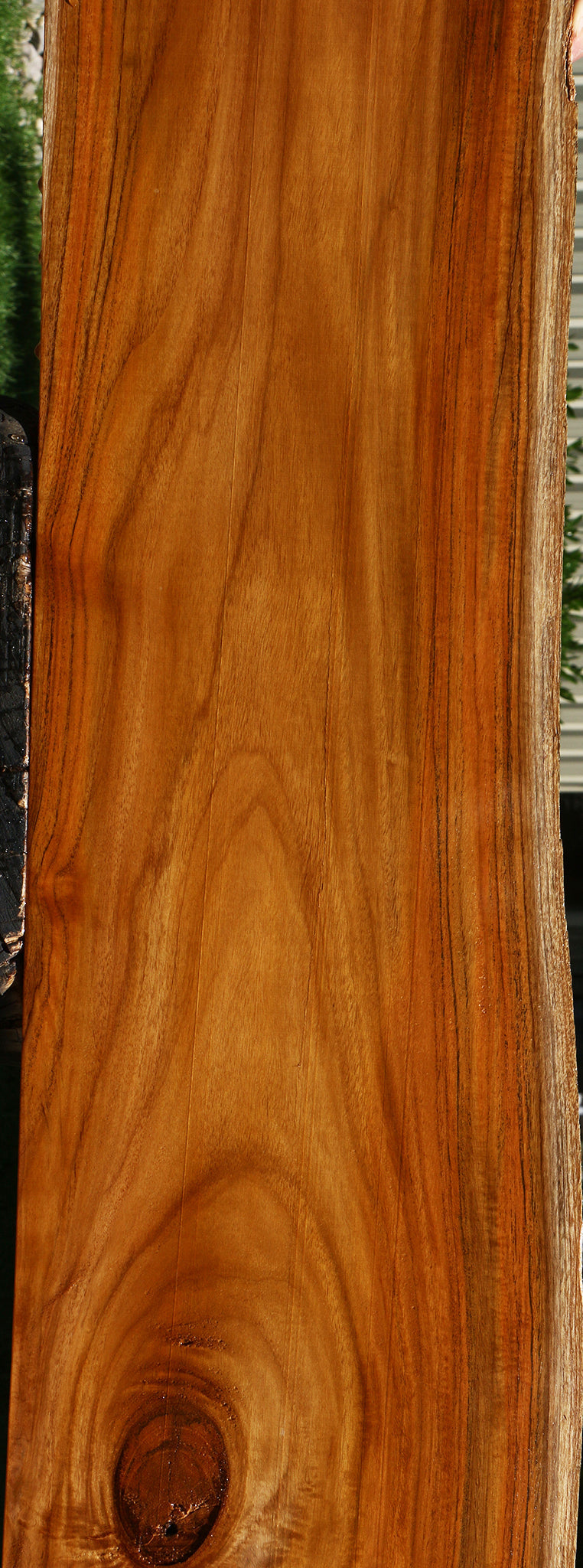 Rustic Teak Live Edge Lumber