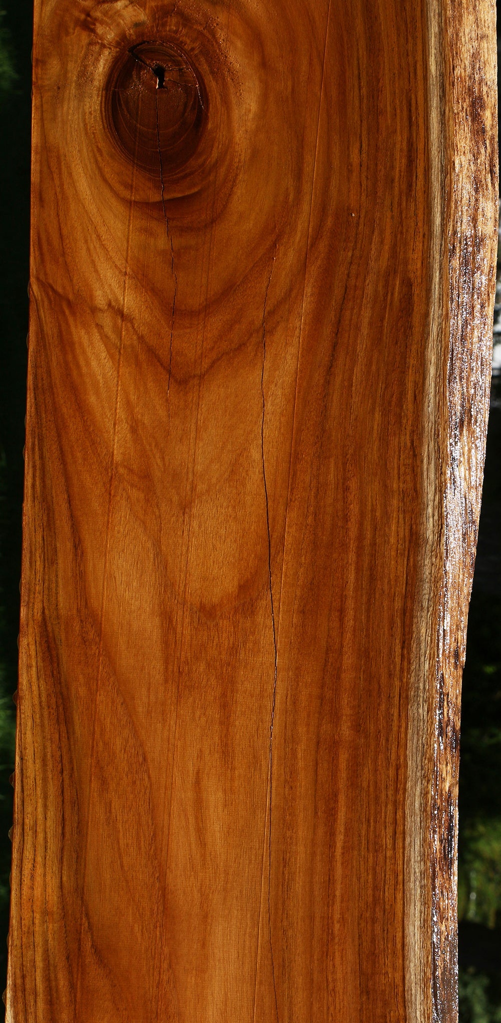 Rustic Teak Live Edge Lumber
