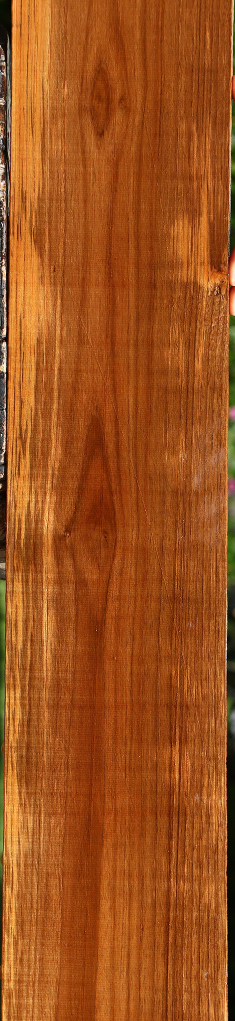 Teak Lumber