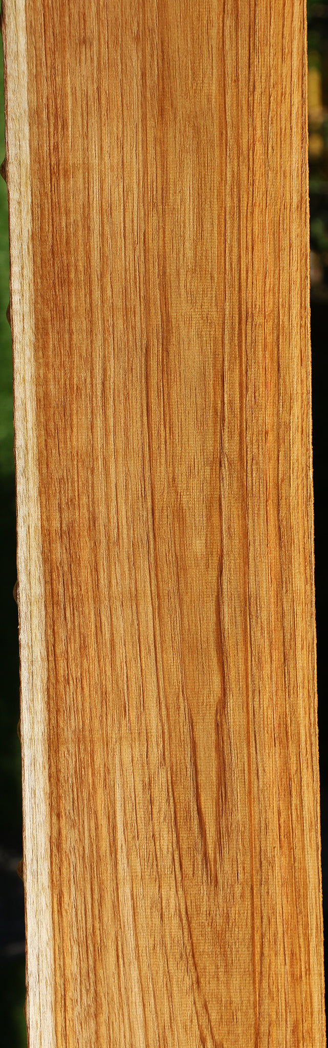 Teak Lumber