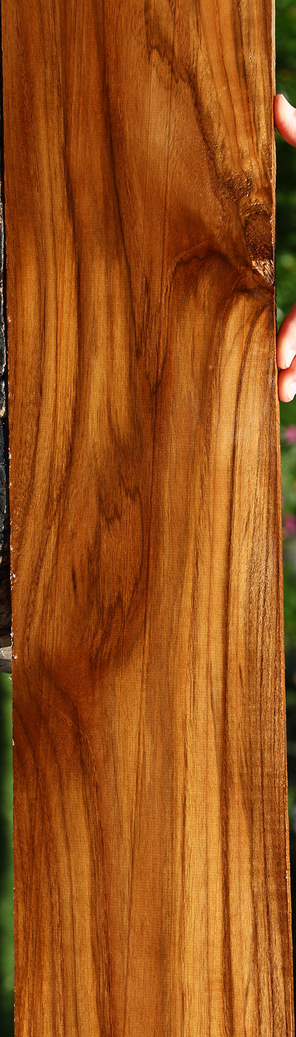 Teak Lumber