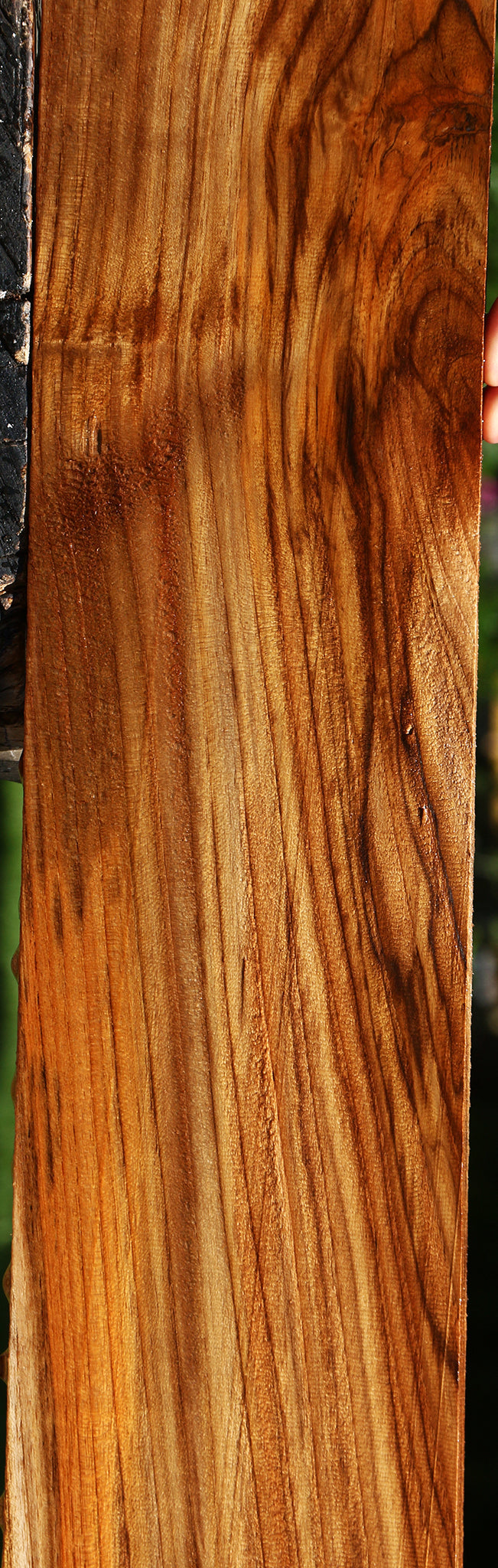 Teak Lumber