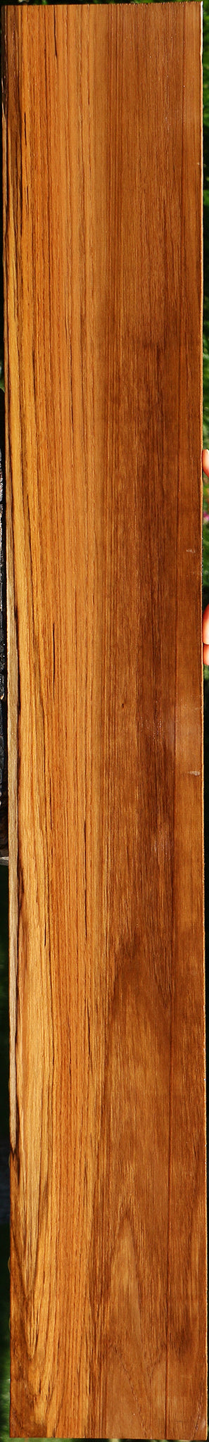 Teak Lumber