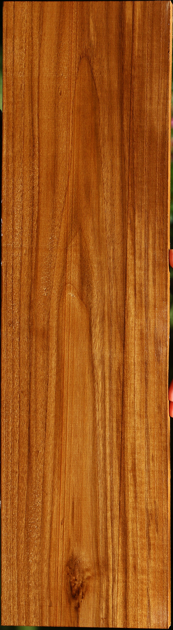 Teak Lumber