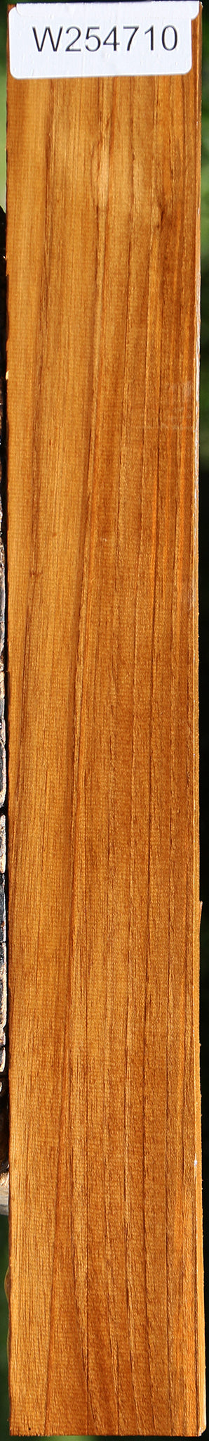 Teak Lumber