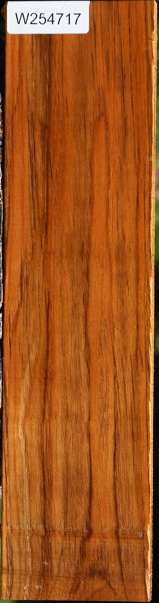 Teak Lumber