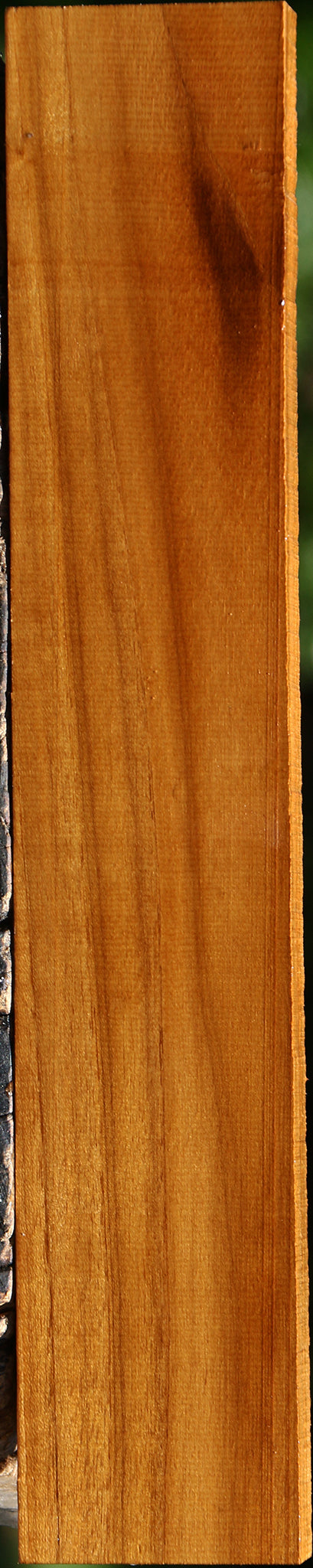 Teak Lumber