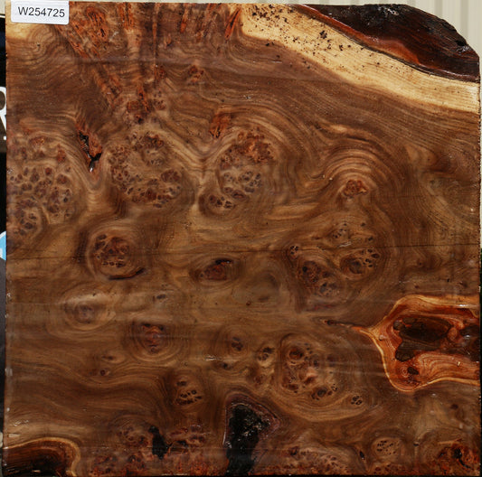 Elm Burl Bowl Blank