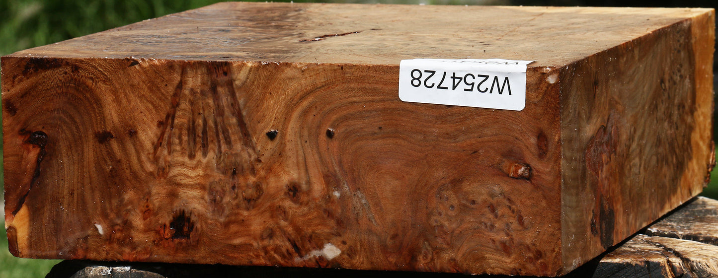Elm Burl Bowl Blank