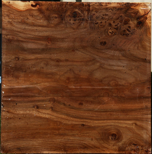 Elm Burl Bowl Blank