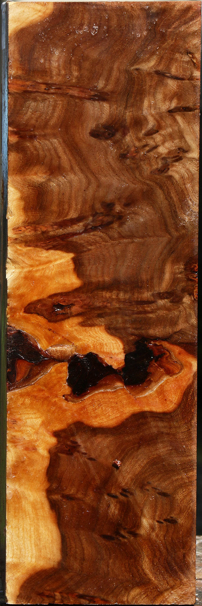 Elm Burl Vessel Blank