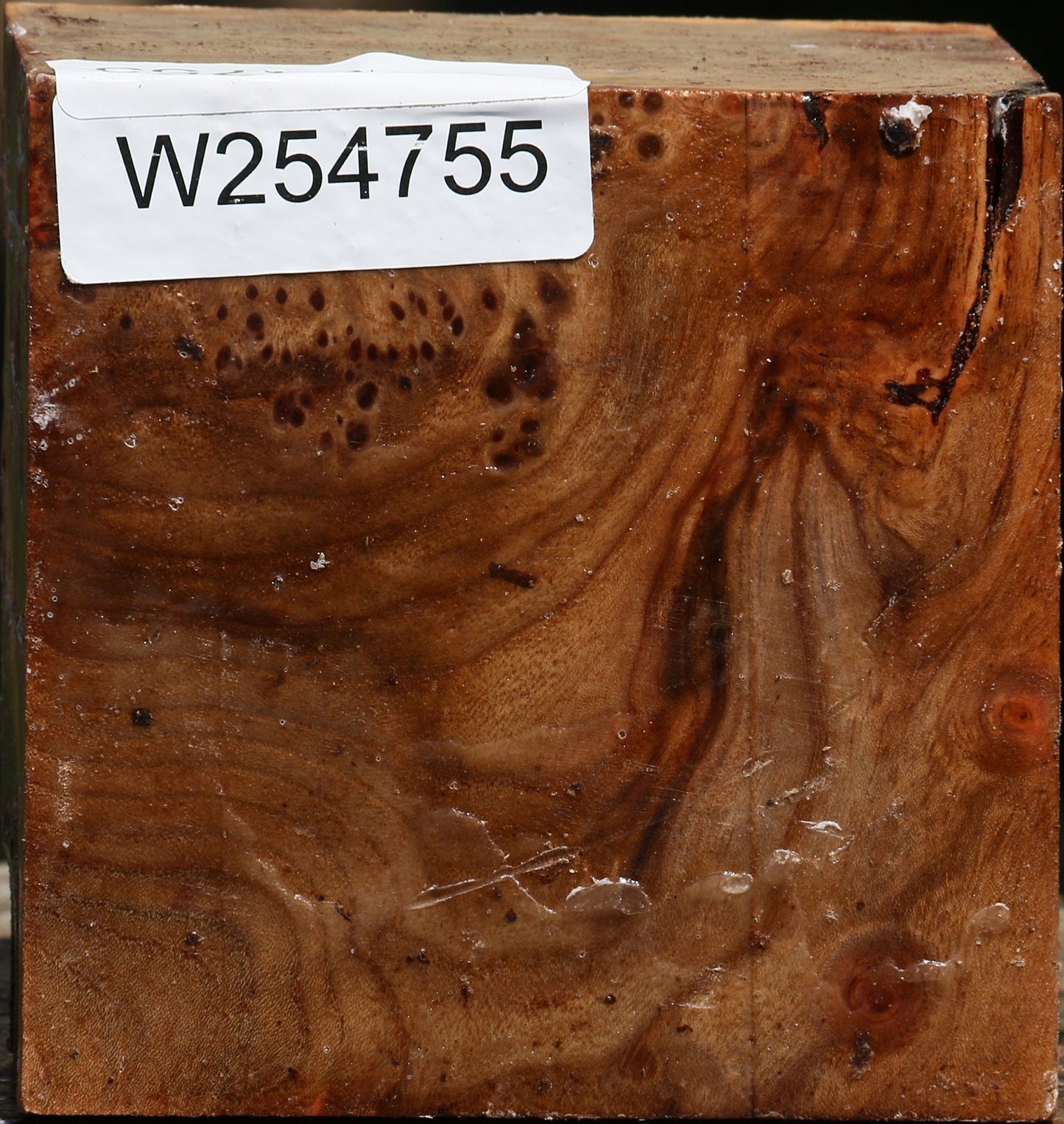 Elm Burl Bowl Blank