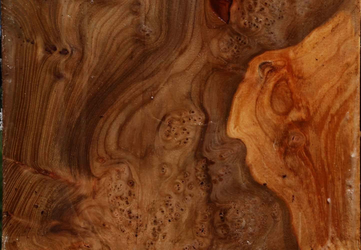 Elm Burl Live Edge Turning Blank
