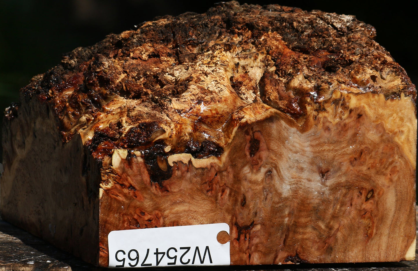 Elm Burl Live Edge Bowl Blank