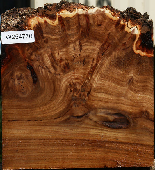 Elm Burl Live Edge Turning Blank