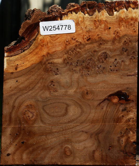 Elm Burl Live Edge Turning Blank