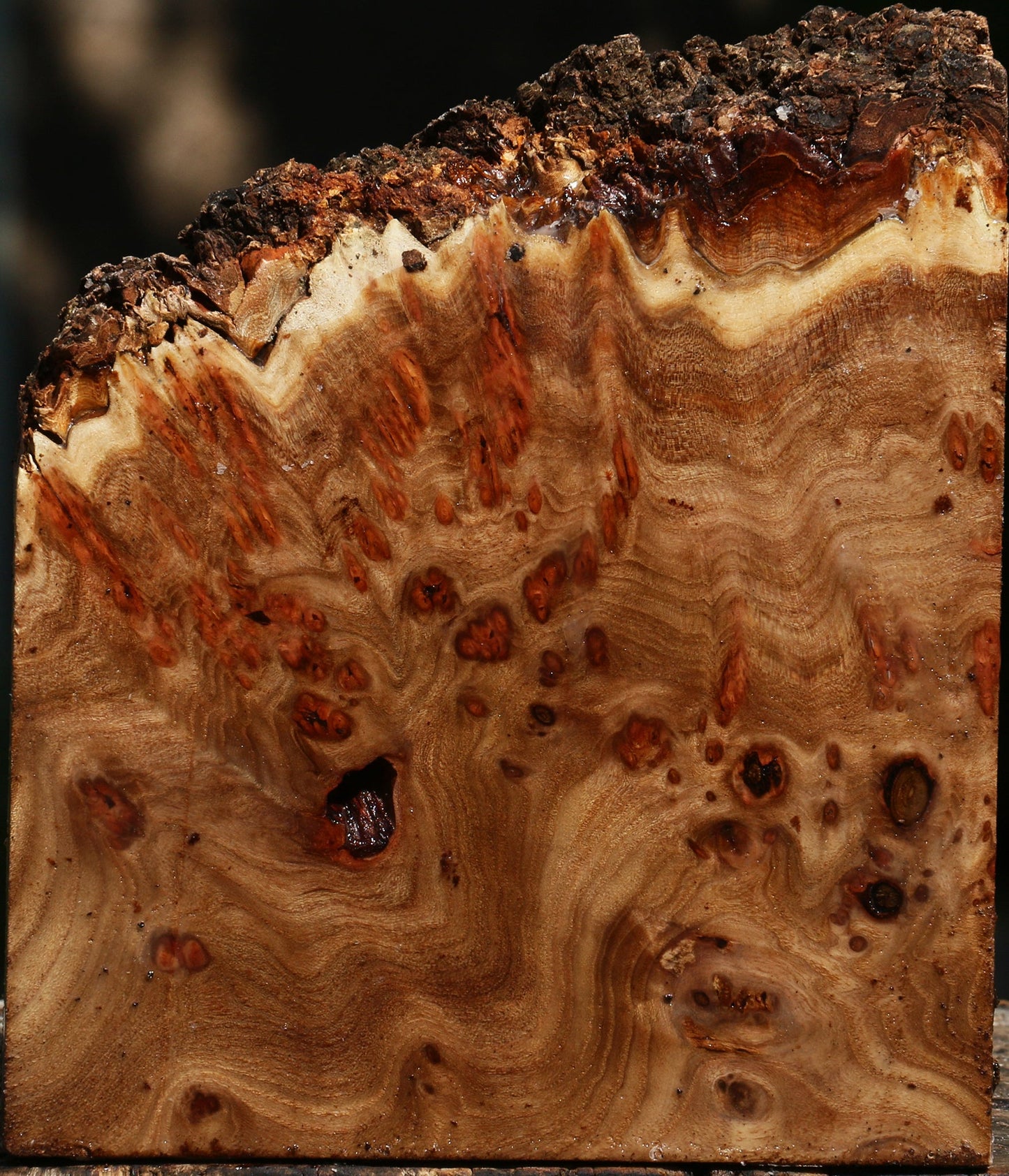 Elm Burl Live Edge Turning Blank