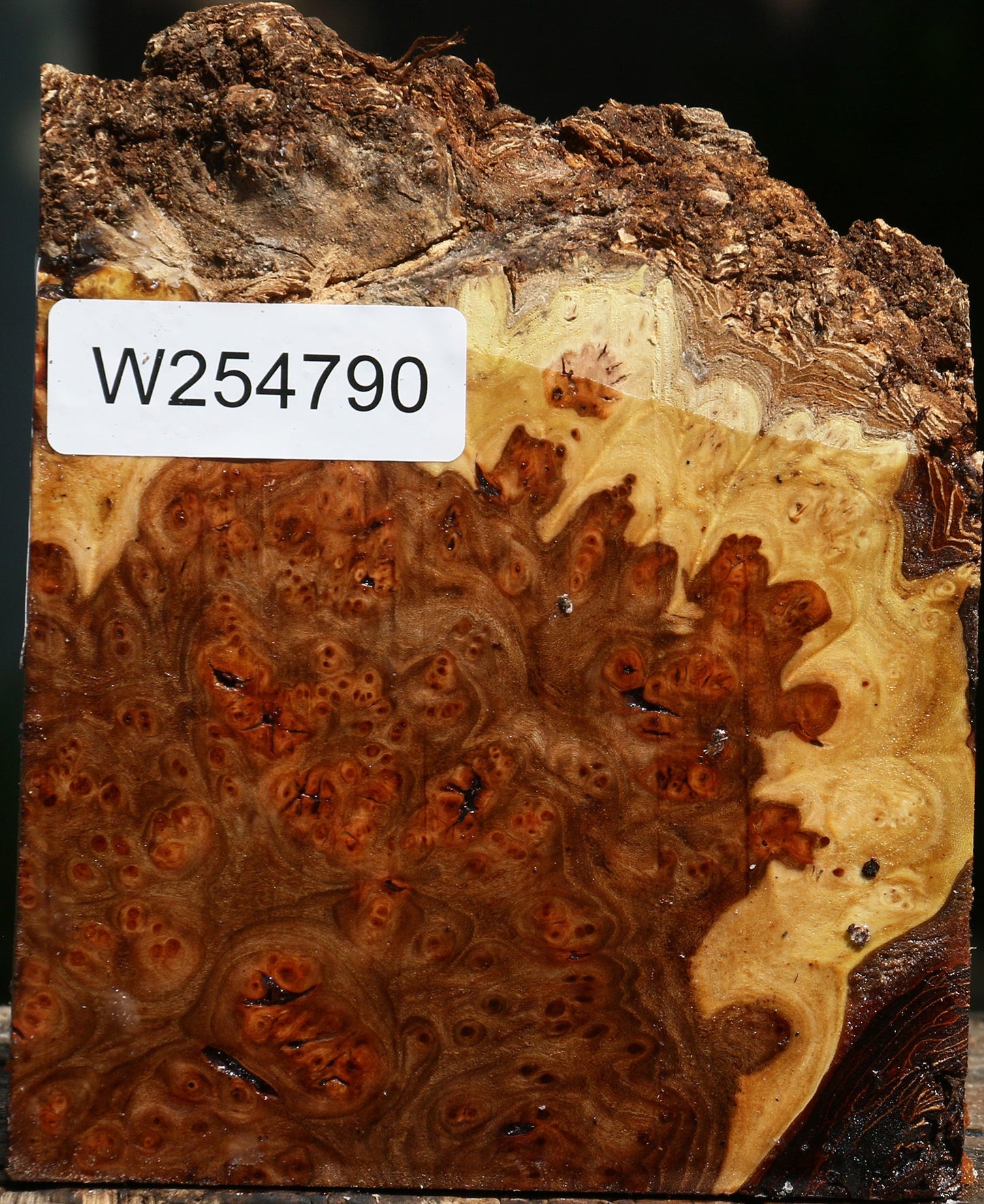 Elm Burl Live Edge Turning Blank