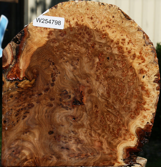 Elm Burl Live Edge Turning Blank