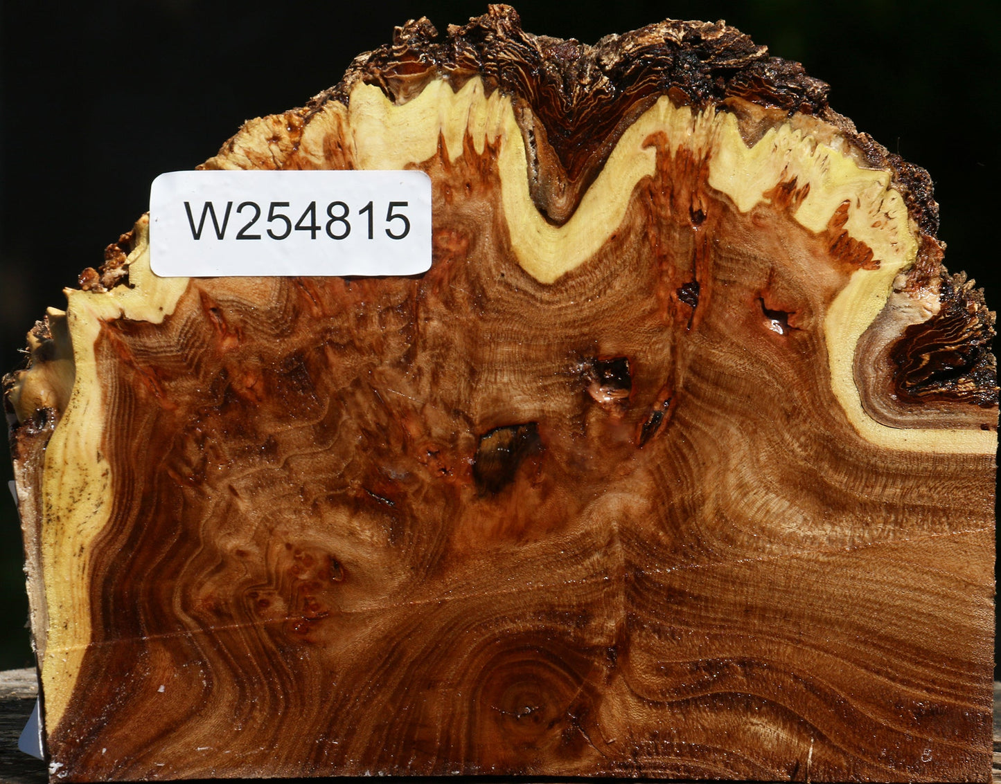 Elm Burl Live Edge Turning Blank